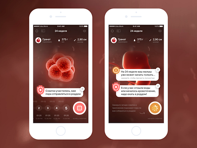 Embryo + contraction counter app baby concept contraction design pregnancy ui