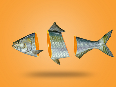 Advertising adobe photoshop advertising art color creative design draw fish graphic graphic design orange photomontaj photoshop surreal