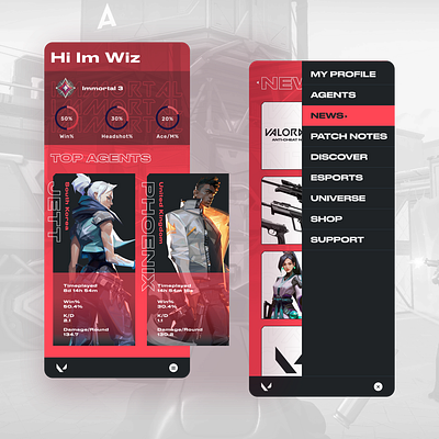 Valorant Player Tracker Apps Design ui uidesign uiux ux valorant