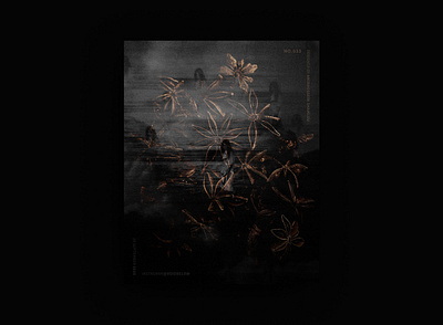 Voidbelow / everythingiwanted black bronze dark depression design inspiration mood photoshop poster poster a day poster art poster design voidbelow