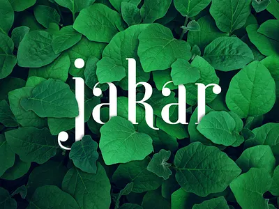 Jakar Logo branding design graphic illustration logo mockup