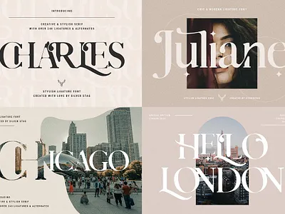 Chic & Modern Font Bundle - 90% OFF branding calligraphy design elegant elegant fonts font font bundle font design fonts collection logo minimal modern modern fonts sans serif serif font serif fonts simple web design web development website