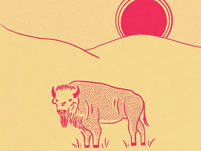 Buffalo illustration vintage