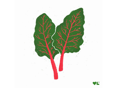 Swiss Chard | Vegetable Garden Illustration Series chard digital illustration garden gardener gardening gardening illustration greens homegrown illustration series organic food organic gardening procreate procreate art swiss chard swiss chard illustration vegetable drawing vegetable series veggie veggie illustration