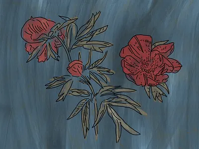 Flowers flowers illustration