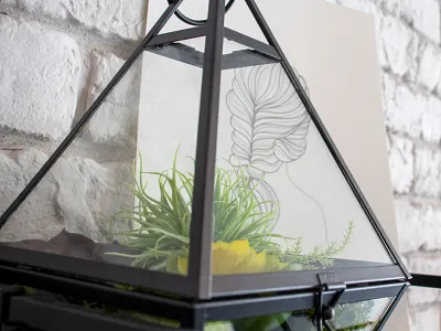 Hair Salon Braid Illustration brand brand designer branding bridal design graphic design greenery illustration illustration art illustration design illustrations illustrator modern natural photo photograph photography plant plants