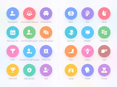 Icons For a Healthcare Web 3d bladder brian chat color experts filter foot head healthcare web heart icon intestines liver lungs plan stomach throat uterus