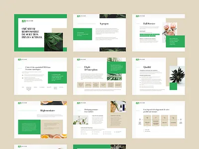 Ocean Vert Pitch Deck 🌿 adobexd agency branding cbd design designer france illustration illustrations logo marijuana pitchdeck poland presenation print productdesign typography ui ux vector