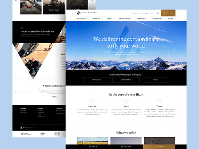 Air Partner aircraft black clean flat flight gold minimal ui ux web website