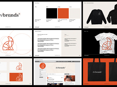 Brand Guidelines bear brand design brand guide brand guidelines brand identity branding grid layout identity design logo design standards