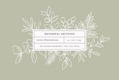Botanical Sketches Vector Illustrations creative market design drawing graphicdesign illustration leaves nature plants vector