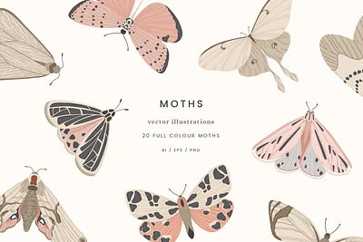 Moths Colour Vector Illustrations butterflies colour creative market design drawing graphicdesign illustration moths nature vector