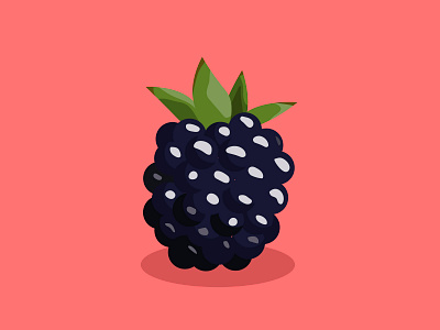 Blackberry Illustration adobe adobe illustrator art blackberry colors dark blue design digital drawing fruit graphic graphicdesigns illustration illustrator minimalism pink vector vectorart