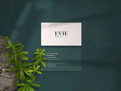 Evie Clinic & Spa Name Card aesthetic brand identity branding clinic design graphic design logo namecard spa stationery stationery design typography