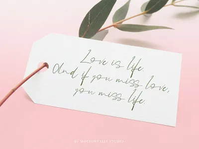 love is life animation app branding design illustration lettering logo typography web website