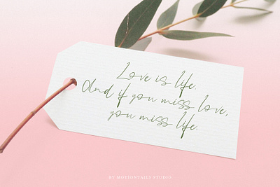 love is life animation app branding design illustration lettering logo typography web website