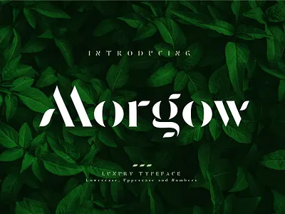 Morgow Luxury Typeface alphabet bold calligraphy elegant elegant fonts fashion font font awesome font design fonts fonts collection hand lettering logo luxury modern newspaper sample typeface web font