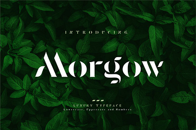 Morgow Luxury Typeface alphabet bold calligraphy elegant elegant fonts fashion font font awesome font design fonts fonts collection hand lettering logo luxury modern newspaper sample typeface web font