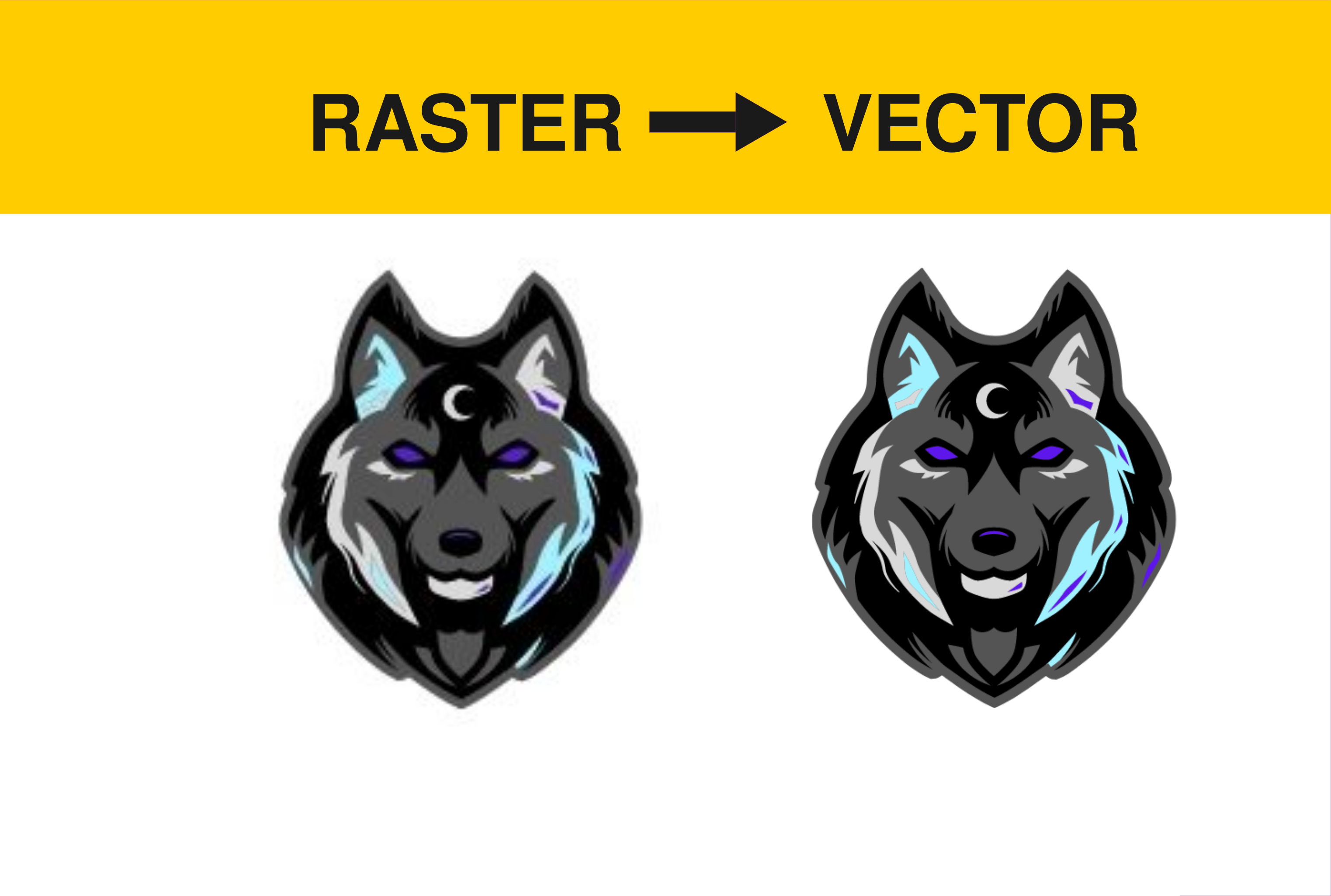 Vector Tracing from Raster by Abuo Saleh on Dribbble