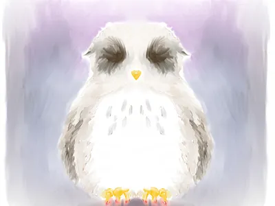 owl color colour drawring illustration mystic quiet silent sleep