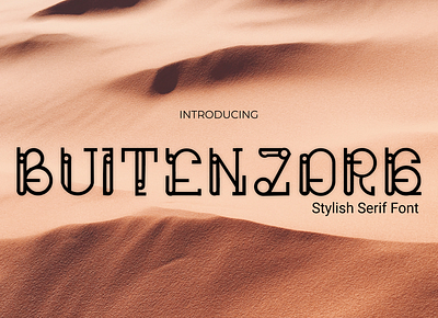 Buitenzorg Font branding display font font font design icon logo luxury design serif font typeface typography