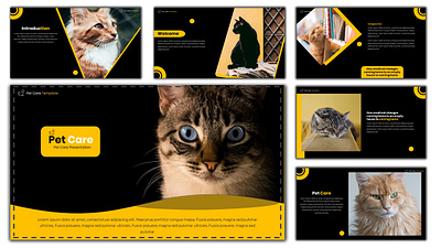 Pet Care - Creative PowerPoint Template advertisement advertisement design corporate ecommerce ecommerce design enterpreneur infographics design powerpoint presentation powerpoint template presentation