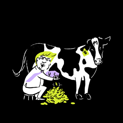 Trump milking a cash cow illustration procreate sketch