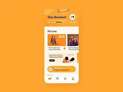 Hooman - Designflows 2020 animals app design illustration minimal pets ui userinterface ux