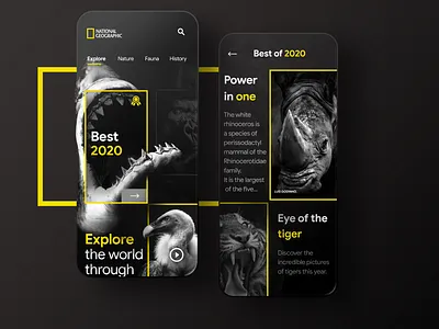 National geographic app concept animals appdesign illustration minimal mobile mobile ui national geographic rhino shark tiger uidesign
