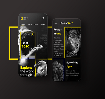 National geographic app concept animals appdesign illustration minimal mobile mobile ui national geographic rhino shark tiger uidesign