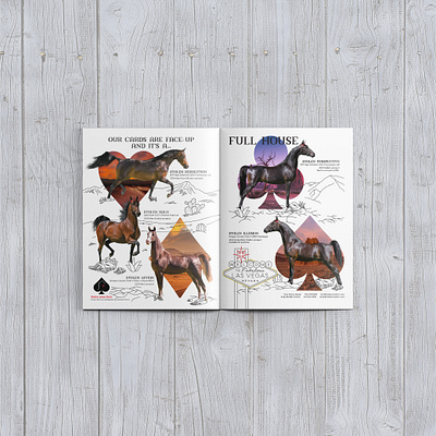 Stolen Aces Magazine Ad ad branding desert design doodle editorial layout horses magazine nevada photography sketch typography vector vegas