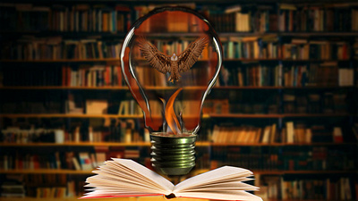 flying eagle design graphic graphicdesign