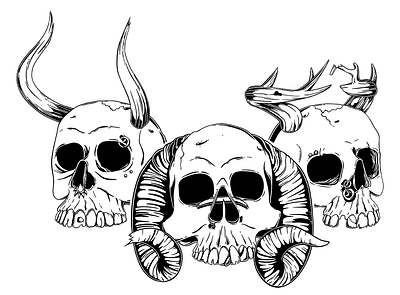 Skulls blackandwhite design flat illustration illustration art illustrator scary skulls t shirt design t shirt illustration vector