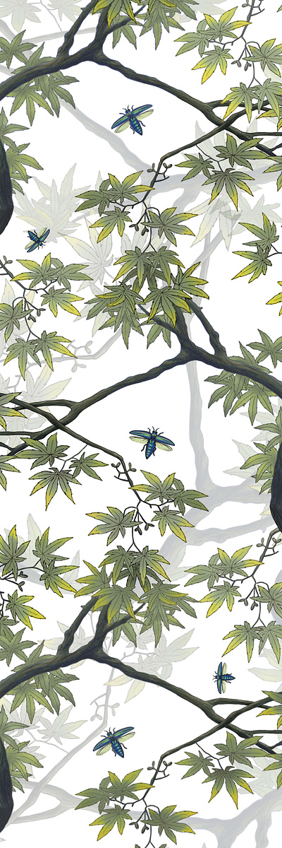 in the forest background beetle botanical fog forest hiking illustration jungle leaf leaves maple plant tree vegetal