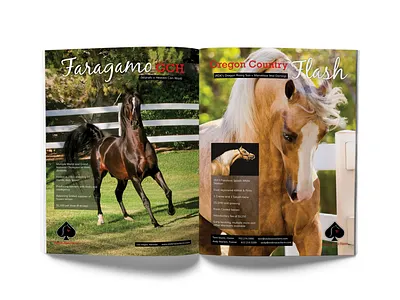 Stolen Aces Farm Magazine Ad #1 advertising branding editorial design magazine ad typography