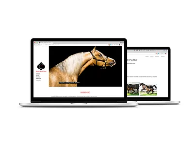 Stolen Aces Farm Website branding design photography typography ui ux web website design