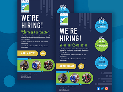 AACC Flyer Design for Job Opening circles creative debut design digital flyer design fun graphic graphic design job application job listing mockup poster design vibrant color volunteer