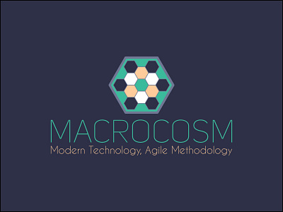 Macrocosm Brand cosmos cyan design hexagonal hexagons logo logodesign macro macrocosm micro microcosm purple universe world