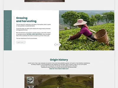 landing page Midgard tea branding colorful interaction interface key visual product design tool retouch travel typography ui ux web design природа