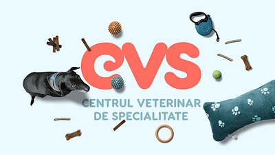 CVS branding illustration interior design pets strategic planning veterinary clinic