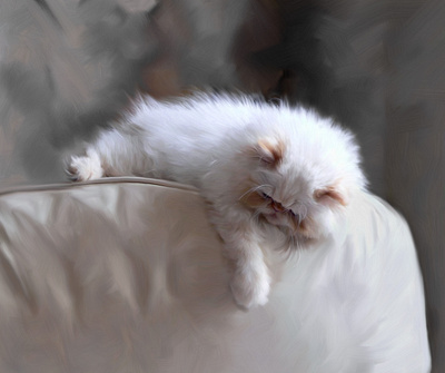 Cute cat on bed illustration