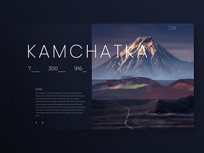 Info Card 045 daily 100 challenge dailyui dailyuichallenge kamchatka minimal ui web web design