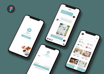 Mipet App animation app art design graphic design ui ux web website