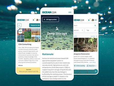 A knowledge hub where experts can solve the climate crisis agency branding branding and identity design ocean ocean life ocean logo ui ux web design