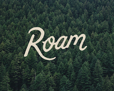 Roam branding design hand drawn joe horacek lettering little mountain print shoppe roam screen printing script type typography