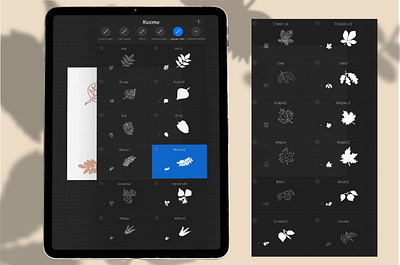 Leaves and shadows for Procreate autumn overlay leaf leaves shadow overlay procreate brushes procreate stamps