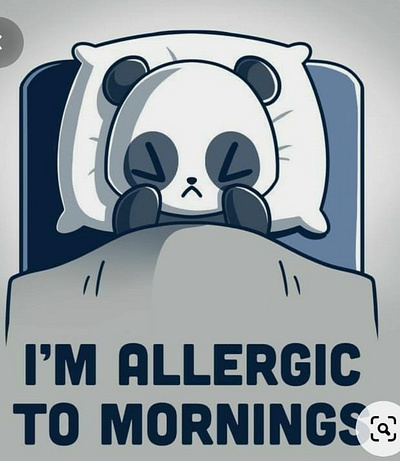 panda who is having an allergy attack