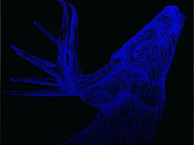 Deer digitalart art drawing artist