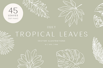 Inky Tropical Leaves Vector Illustrations creative market design drawing graphicdesign illustration leaves nature plants vector