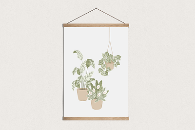 House Plants Illustration creative market design drawing graphicdesign illustration leaves nature plants vector